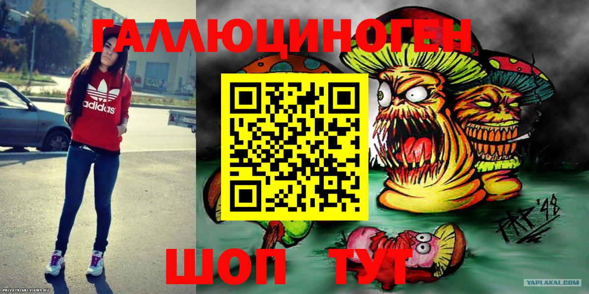 Псилоцибиновые грибы Psilocybe Зима