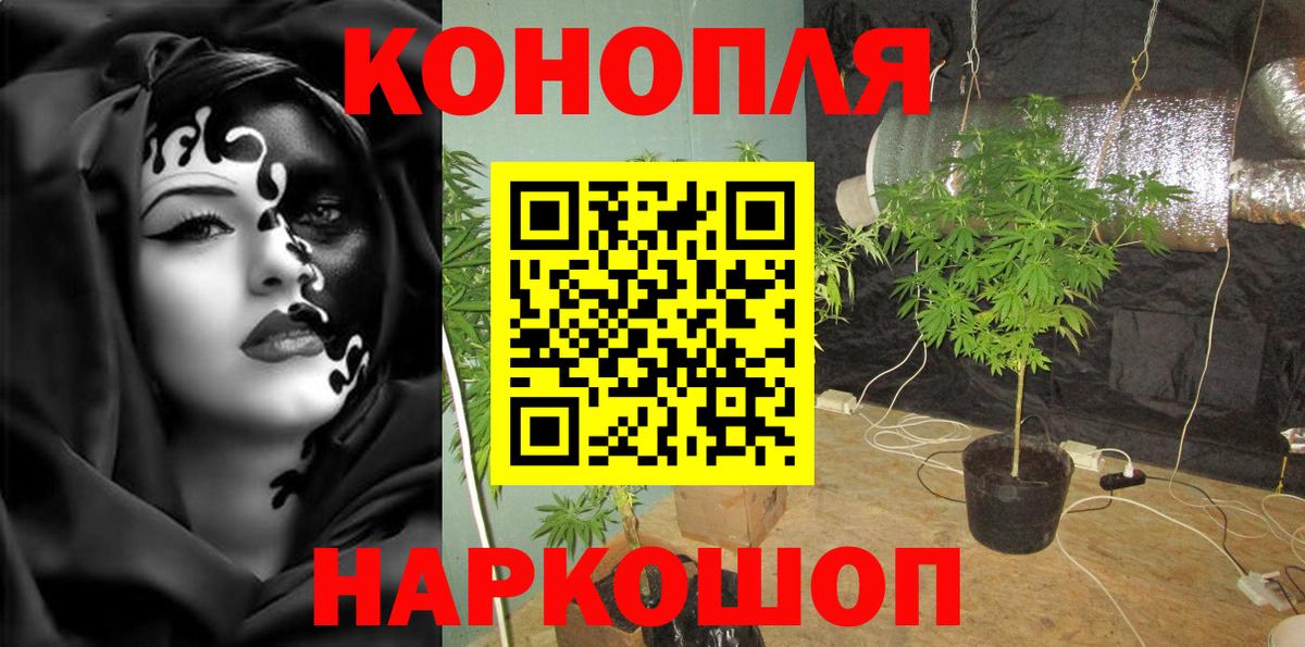 МАРИХУАНА ГИДРОПОН Зима